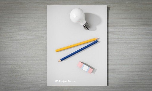 learning terms in ms project